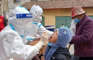 国产大茄子视频在线播放,高清视频在线播放，尽享视觉盛宴