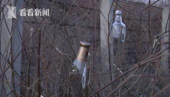 用弹弓射击视频播放国产,视频播放中的魅力与挑战