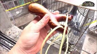 用弹弓射击视频播放国产,视频播放中的魅力与挑战