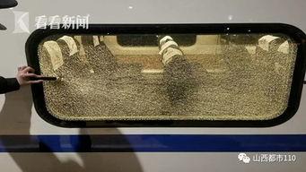 用弹弓射击视频播放国产,视频播放中的魅力与挑战