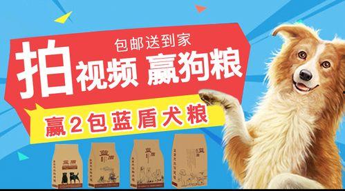 国产小众狗粮视频大全集,那些隐藏的宠物美食宝藏