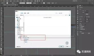 首页国产字母圈免费视频,精彩内容一网打尽