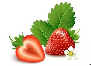 国产好资源草莓视频下载,国产优质资源下载新体验