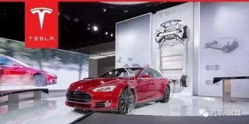 国产特斯拉上海车展视频,引领未来出行新潮流