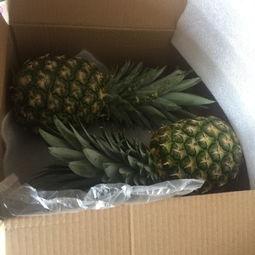 国产凤梨如何催熟视频教程,轻松掌握家庭催熟技巧