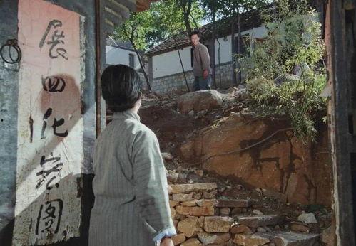 国产农村三 片视频,国产农村三部曲的温情演绎