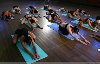 裸体瑜伽视频国产在线,探索身心和谐的国风体验