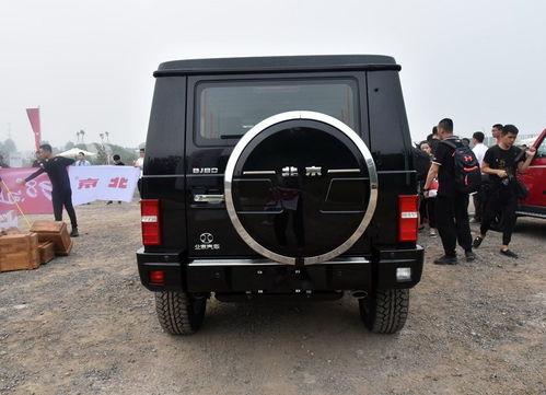 国产翻山越野视频,国产越野车演绎极限挑战