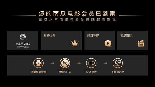 国产高清芒果视频在线,国产高清盛宴，尽享视听新体验