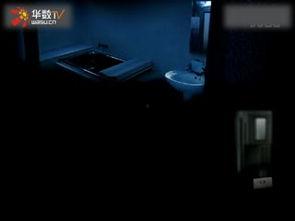 国产草壁视频,探寻东方美学与自然和谐共生的视觉盛宴