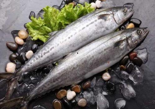 国产鲅鱼现在能吃吗视频  第1张