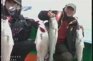 国产特摄熊猫人视频在线,国产科幻巨制，引领视觉盛宴  第3张